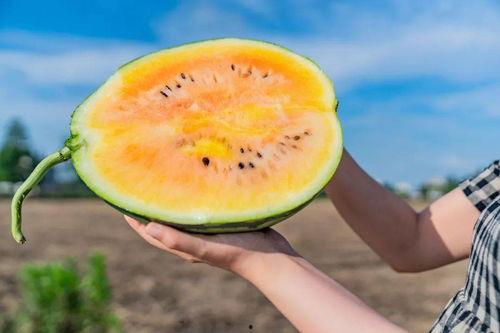 老卡吃瓜,揭秘娱乐圈幕后真相