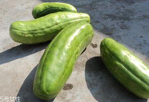 吃小脆瓜,清爽一夏的甜蜜诱惑