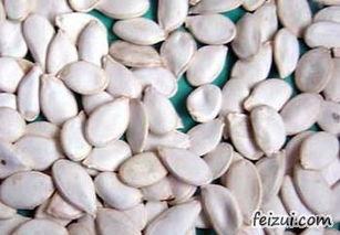 白瓜图片怎么吃,白瓜图片教你轻松解锁美味新吃法