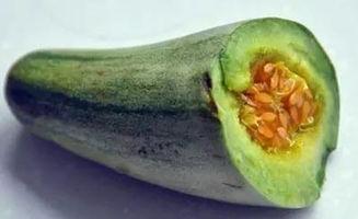 鼻炎可以吃牛角瓜吗,牛角瓜的养生益处