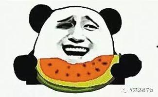 吃瓜群众穿令箭