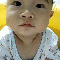 森哥日常吃瓜,揭秘娱乐圈那些事儿