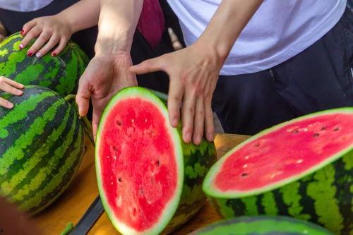 摆摊吃瓜搞笑名字,笑料横生，搞笑名字背后的欢乐时光