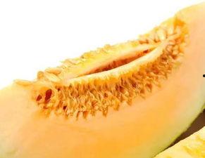 吃蜜瓜影响月经,探究甜蜜与生理周期的微妙关系