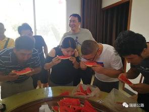 包粽子吃瓜视频,包粽子赏瓜乐翻天