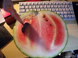 杀哥吃瓜,揭秘娱乐圈背后的真相与八卦