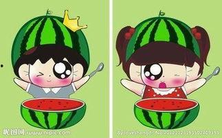 福建情侣吃瓜,共享夏日悠闲时光