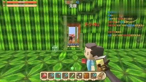 迷你世界吃瓜大战清水,吃瓜大战清水，一场别开生面的生存挑战