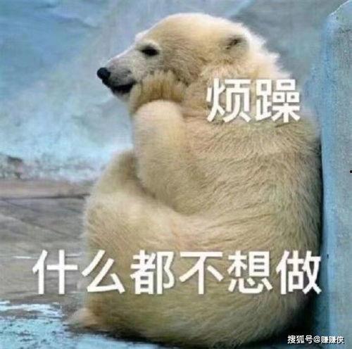 吃瓜群众类似图片,网络围观背后的社会心理