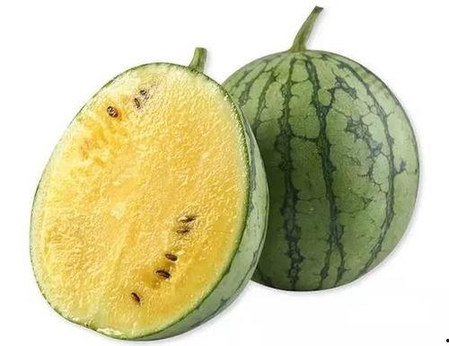 板凳上吃瓜的群众,板凳上吃瓜群众的欢乐时光