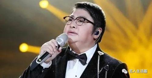 小宋吃瓜韩红,揭秘娱乐圈背后的故事