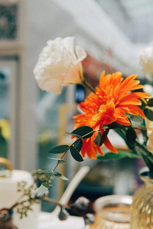 七花吃瓜组合,揭秘娱乐圈的欢乐瓜田