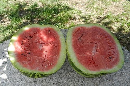 梦见有人请吃瓜,瓜香四溢的神秘邀请