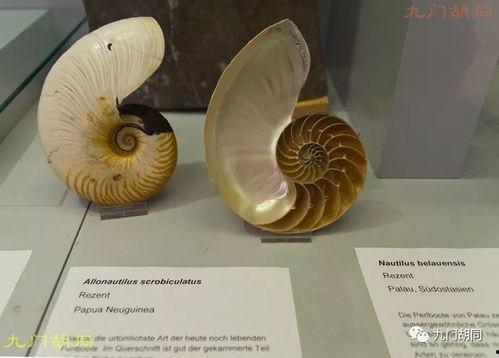 苏黎世eth吃瓜,揭秘瑞士顶尖学府的“吃瓜”文化