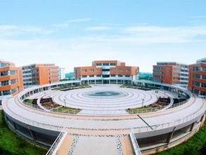 安阳工学院吃瓜事件,校园舆论风波背后的真相探究