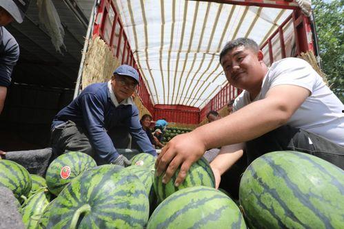吃河北铺的瓜了吗,品味地道美食之旅