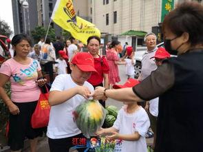 挑战吃瓜大王,揭秘瓜界传奇背后的故事