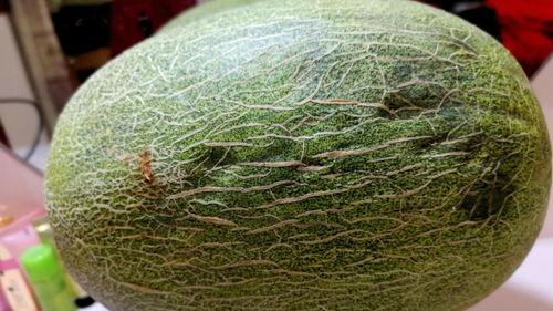 吃坏了的哈密瓜手变黄了