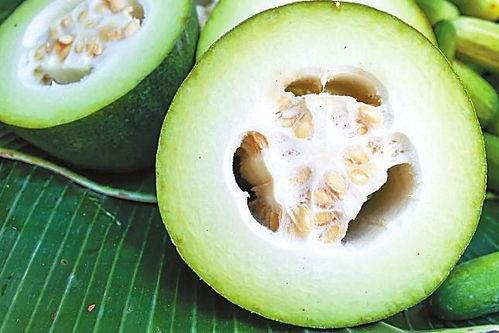 林小宝古代吃瓜,解锁古代吃瓜秘史