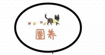 吃瓜求嗨,揭秘娱乐圈嗨翻天背后的故事