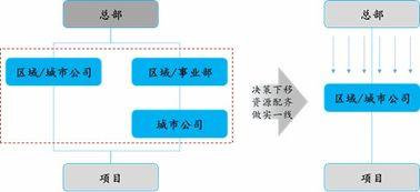 如何组建收集吃瓜组织