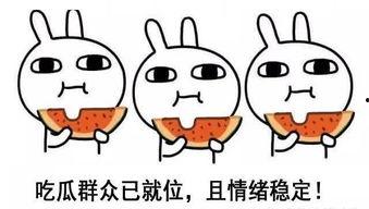 倔强的吃瓜酱,揭秘娱乐圈背后的麻辣故事