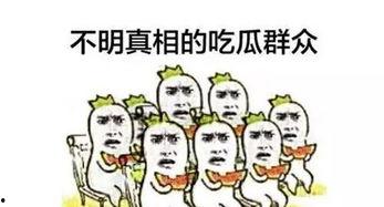 成都头条群众吃瓜,群众围观热议不断
