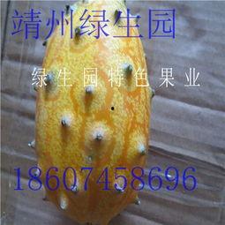 减肥吃东方蜜瓜,甜蜜与健康同行